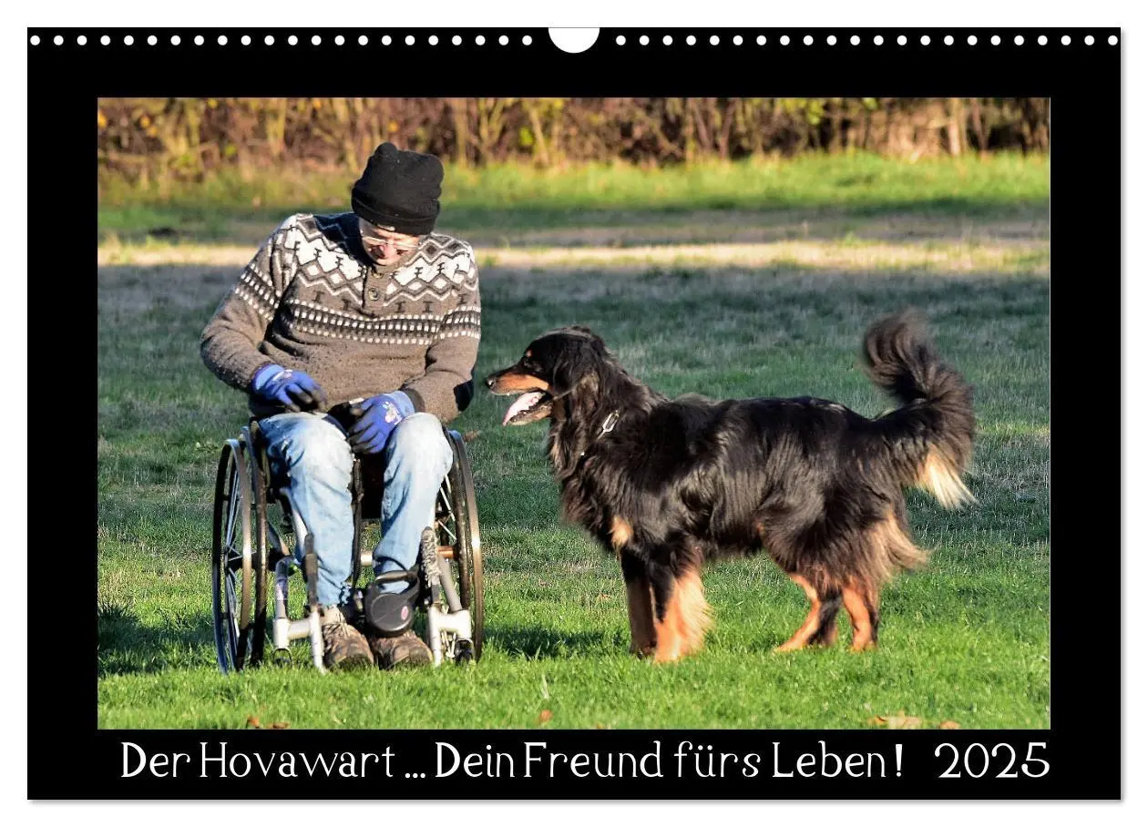 Cover: 9783435268719 | Der Hovawart... Dein Freund fürs Leben ! (Wandkalender 2025 DIN A3...