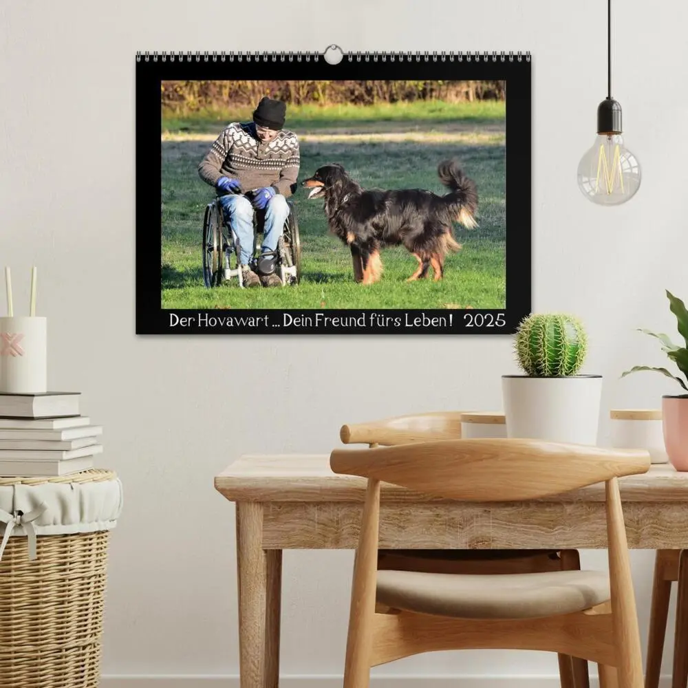 Bild: 9783435268719 | Der Hovawart... Dein Freund fürs Leben ! (Wandkalender 2025 DIN A3...