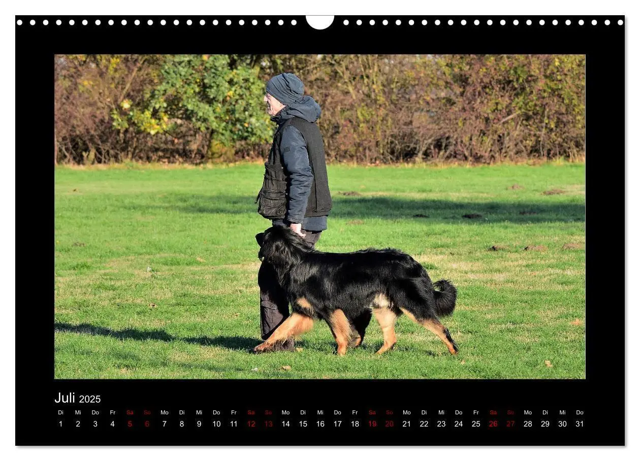 Bild: 9783435268719 | Der Hovawart... Dein Freund fürs Leben ! (Wandkalender 2025 DIN A3...