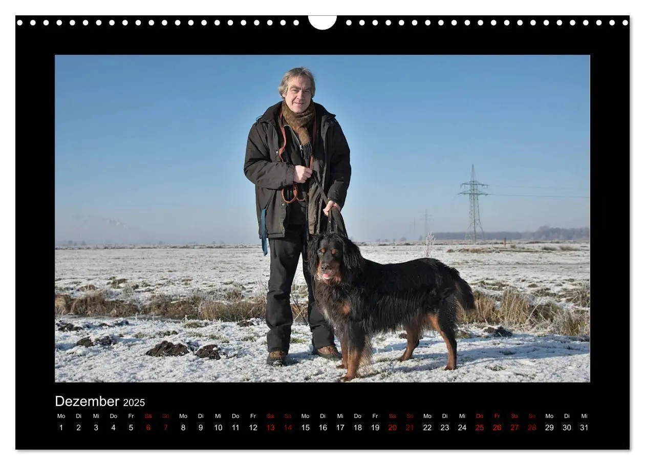 Bild: 9783435268719 | Der Hovawart... Dein Freund fürs Leben ! (Wandkalender 2025 DIN A3...