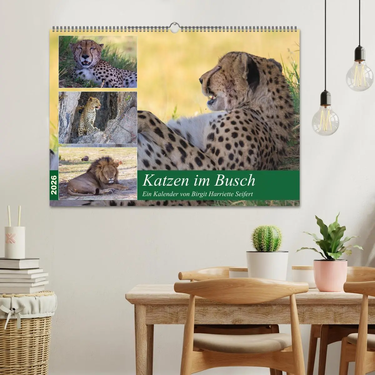Bild: 9783457738719 | Katzen im Busch (Wandkalender 2026 DIN A2 quer), CALVENDO...