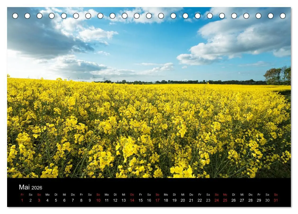 Bild: 9783516068719 | Wir lieben Grömitz (Tischkalender 2026 DIN A5 quer), CALVENDO...