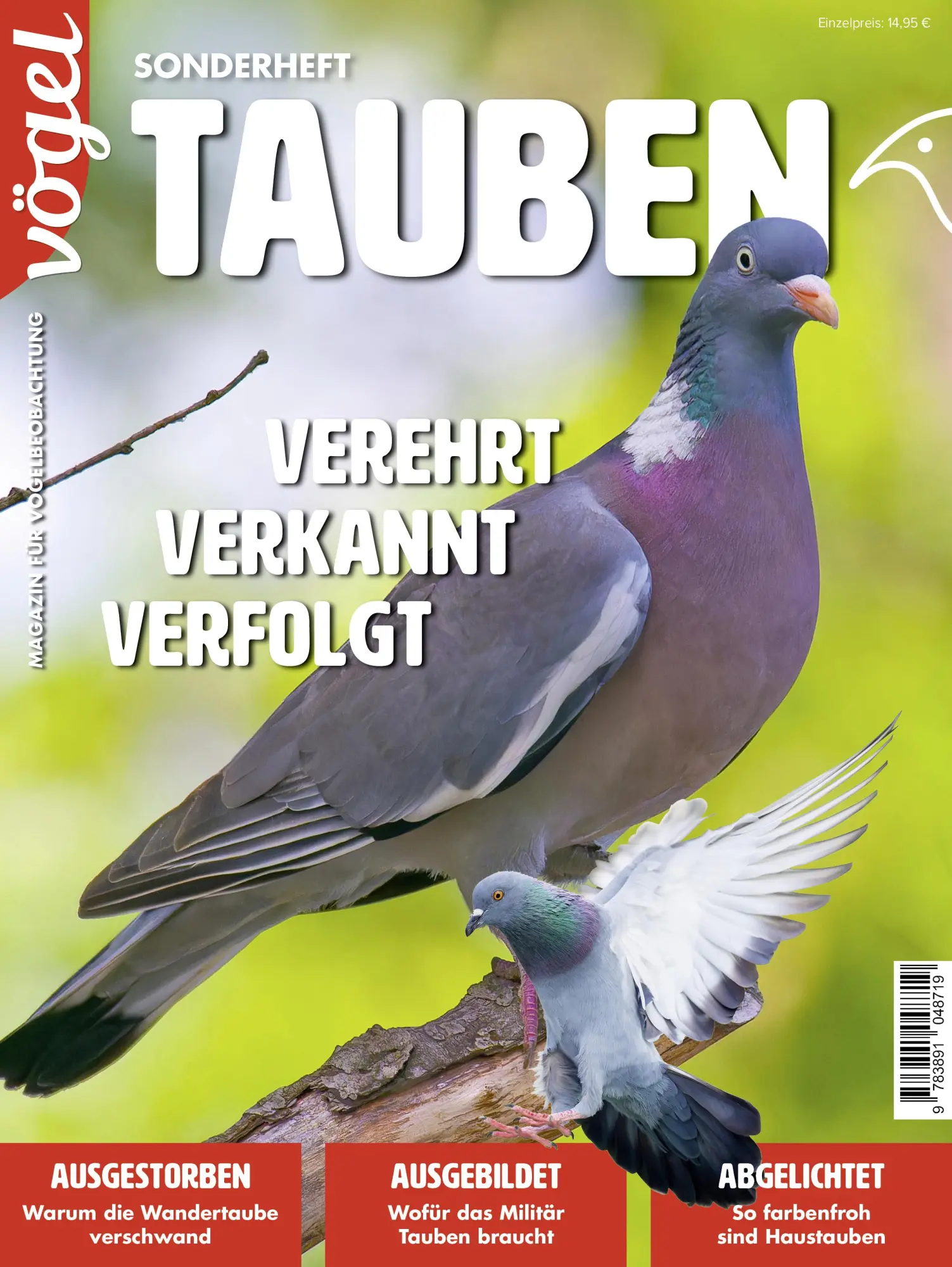 Cover: 9783891048719 | Tauben | Redaktion Vögel/AULA-Verlag | Taschenbuch | 114 S. | Deutsch
