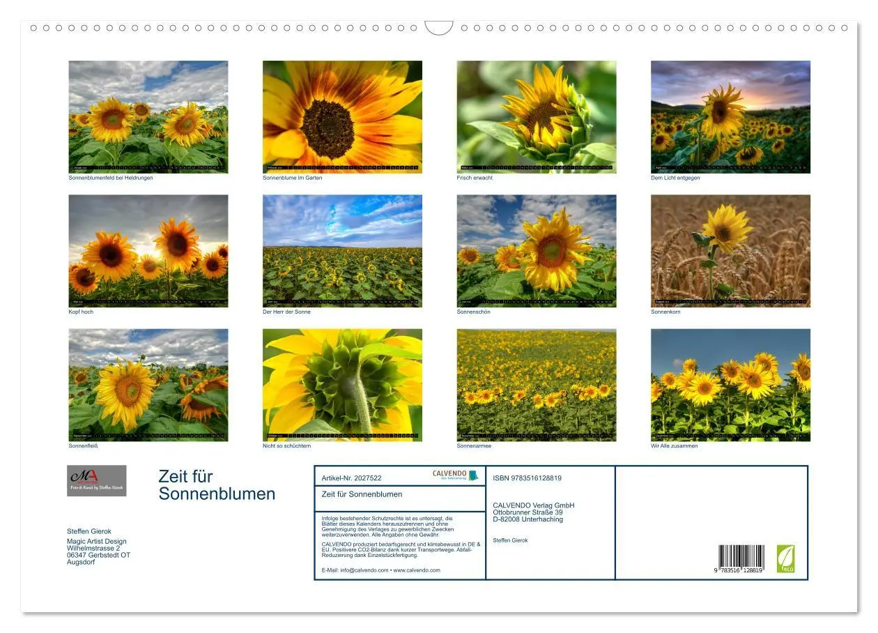 Bild: 9783516128819 | Zeit für Sonnenblumen (Wandkalender 2026 DIN A2 quer), CALVENDO...