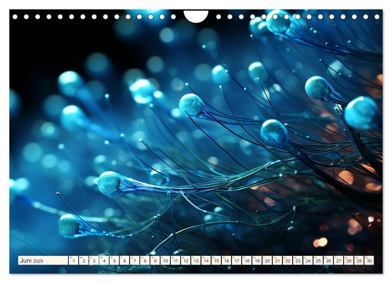Bild: 9783383848919 | Wunderwelt Mikrokosmos (Wandkalender 2025 DIN A4 quer), CALVENDO...