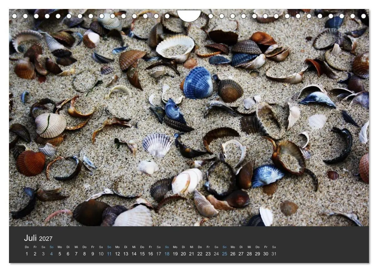 Bild: 9783569998919 | Traumhaftes Zeeland 2027 (Wandkalender 2027 DIN A4 quer), CALVENDO...
