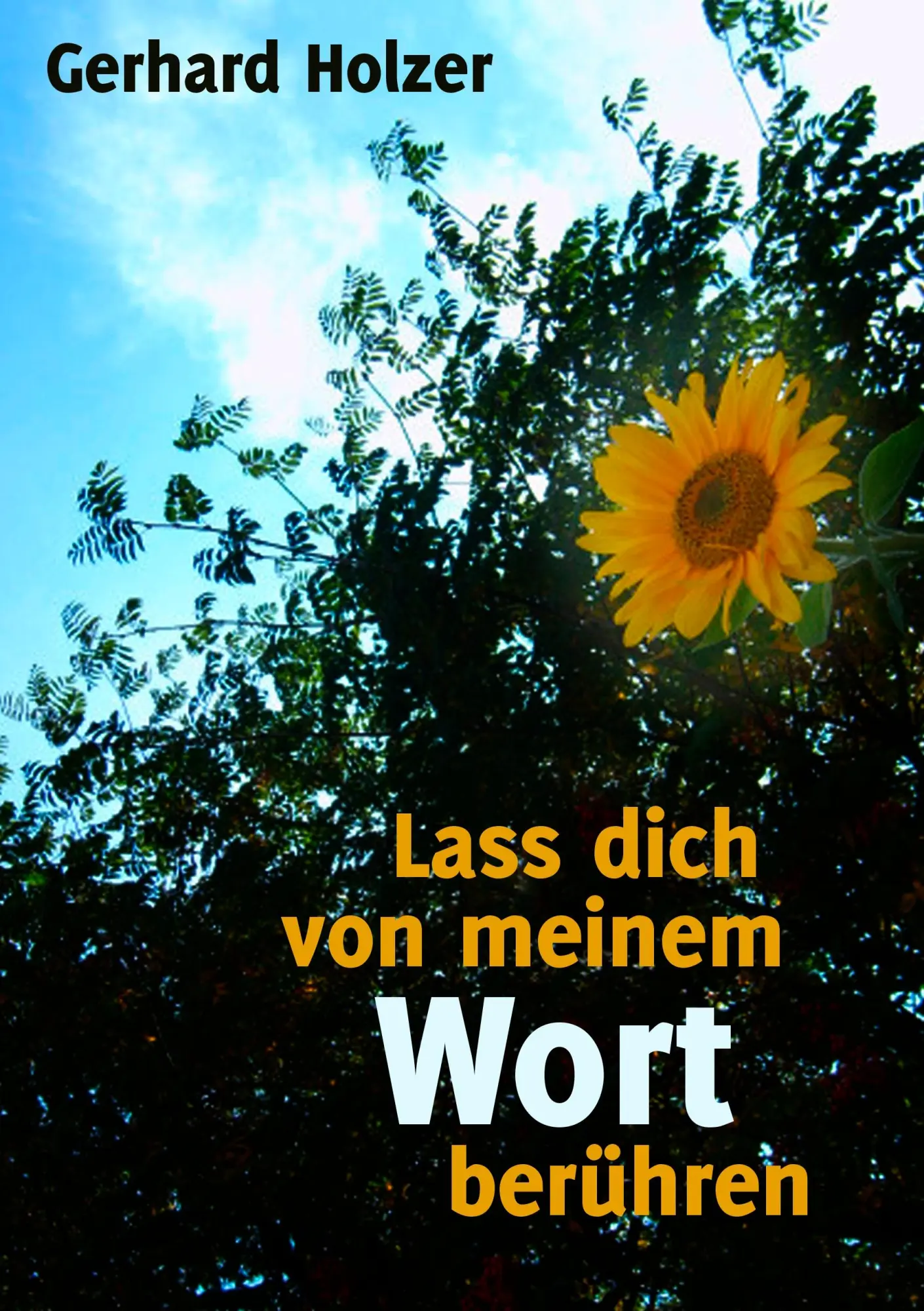 Cover: 9783837048919 | Lass dich von meinem Wort berühren | Gerhard Holzer | Taschenbuch