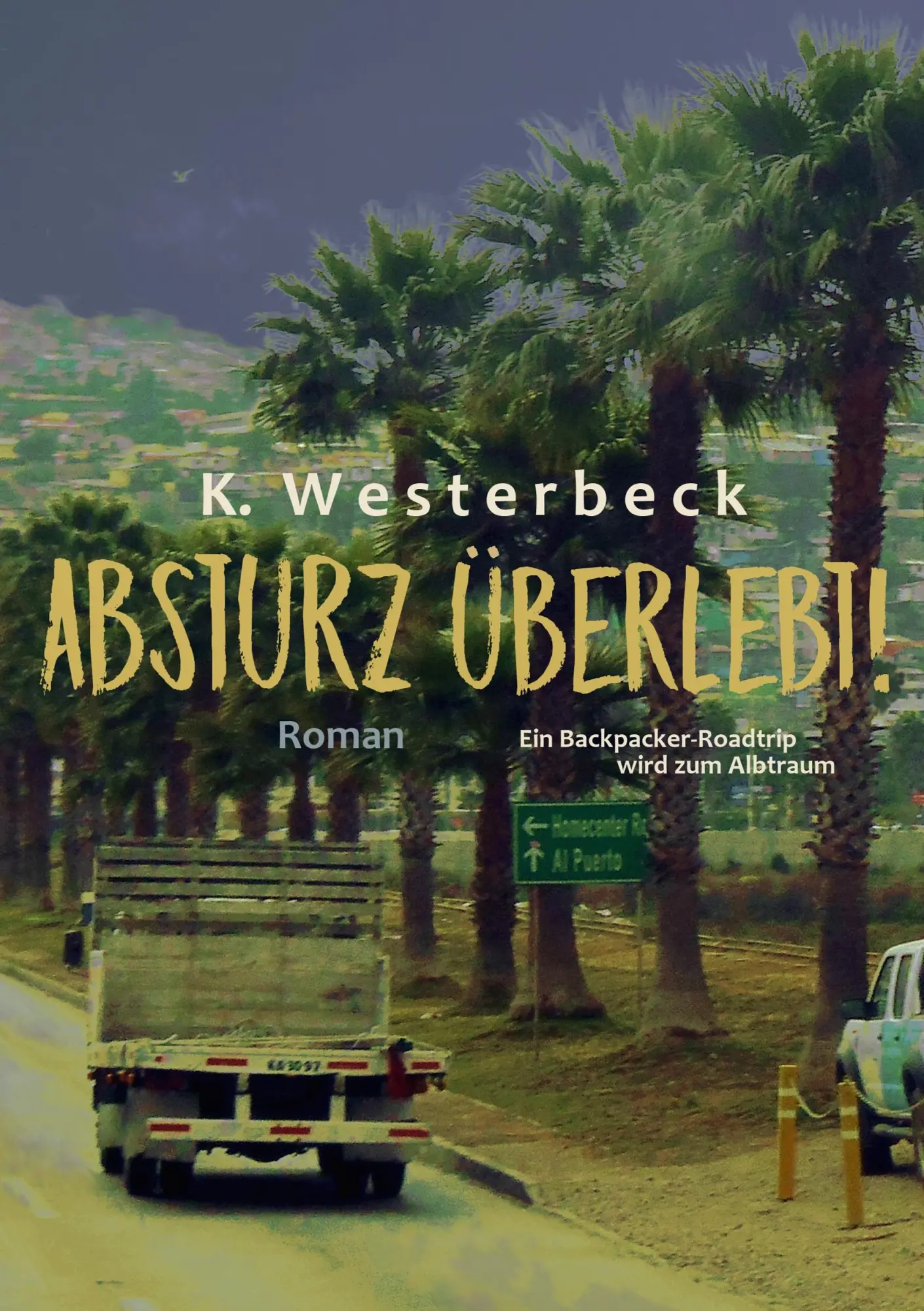 Cover: 9783738629019 | Absturz überlebt! | Ein Backpacker-Roadtrip wird zum Albtraum | Buch
