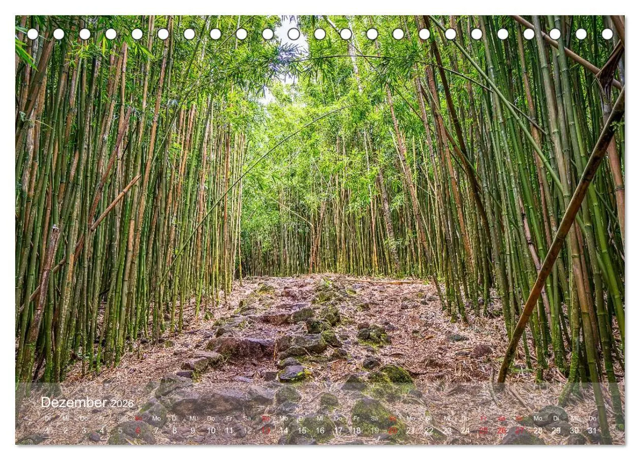 Bild: 9783457909119 | Hawaii - Maui Trauminsel im Pazifik (Tischkalender 2026 DIN A5...