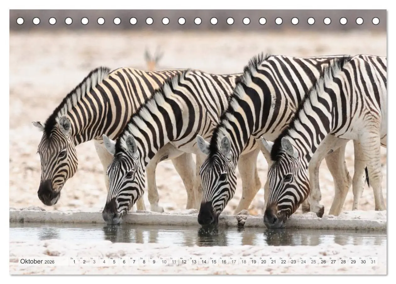 Bild: 9783516239119 | Afrikas Tierwelt Christian Heeb (Tischkalender 2026 DIN A5 quer),...