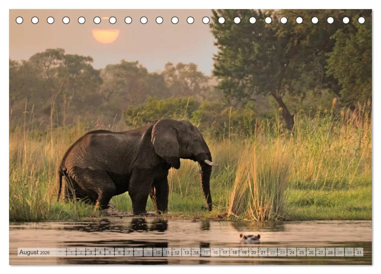 Bild: 9783516239119 | Afrikas Tierwelt Christian Heeb (Tischkalender 2026 DIN A5 quer),...