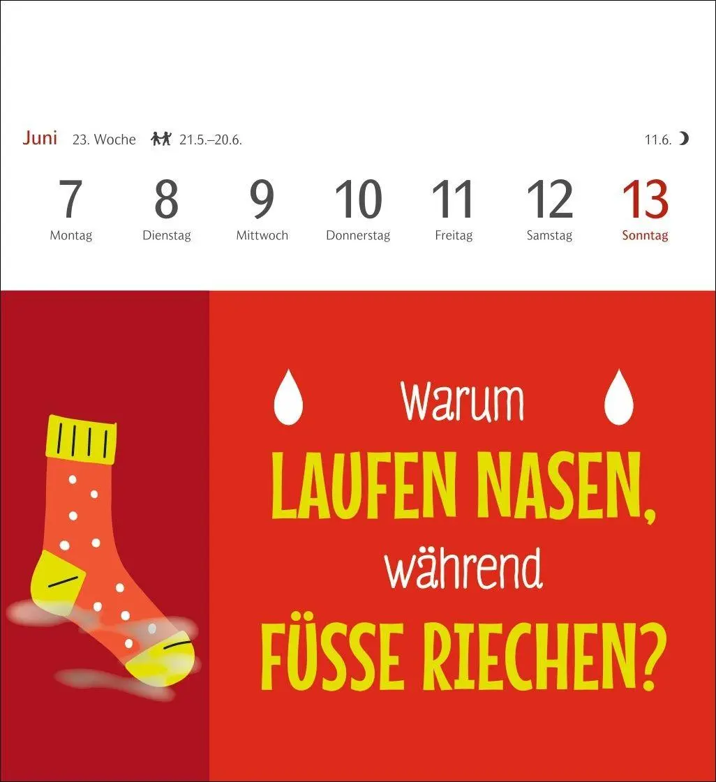 Bild: 9783840039119 | Der fette Vogel bricht den Ast Postkartenkalender 2027 -...