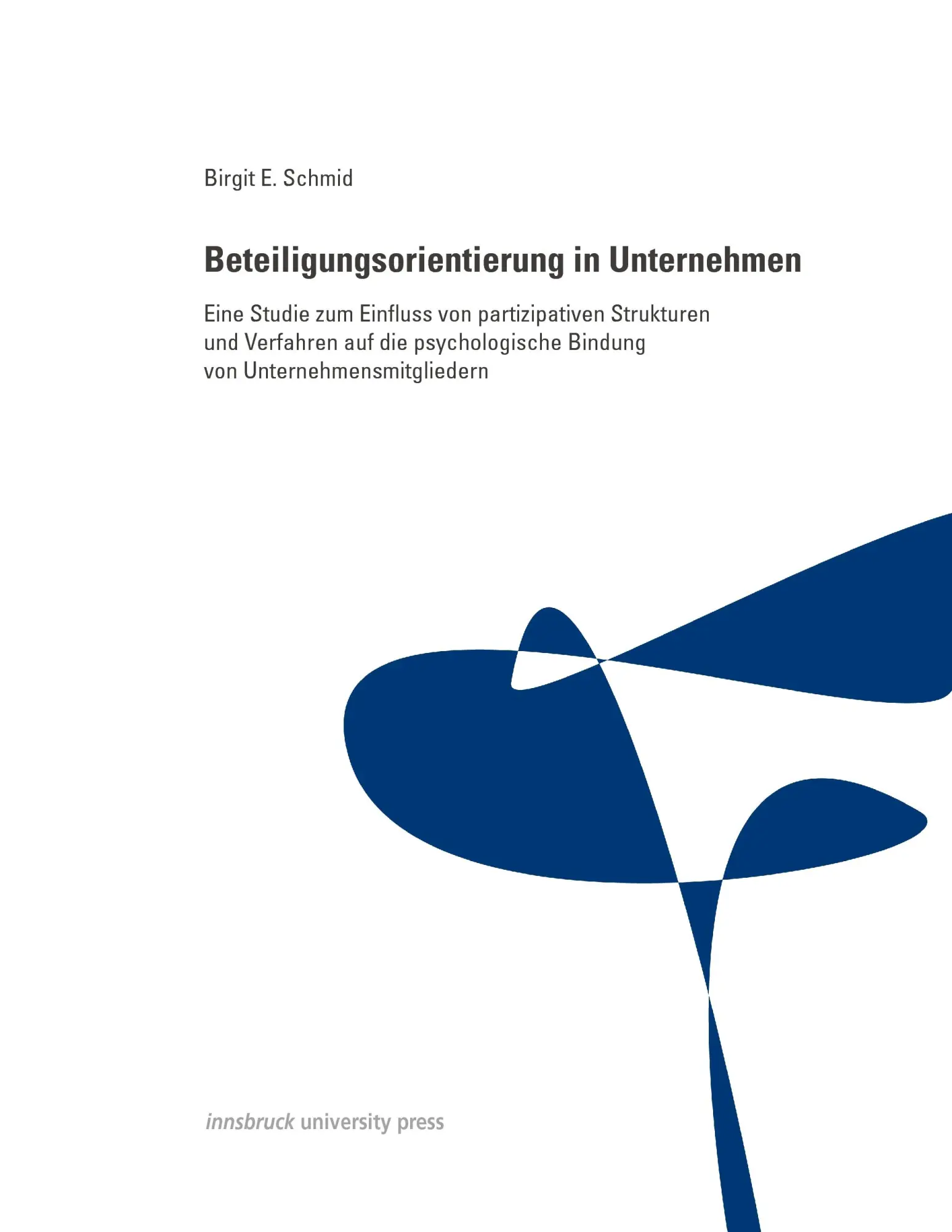 Cover: 9783902719119 | Beteiligungsorientierung in Unternehmen | Birgit E. Schmid | Buch