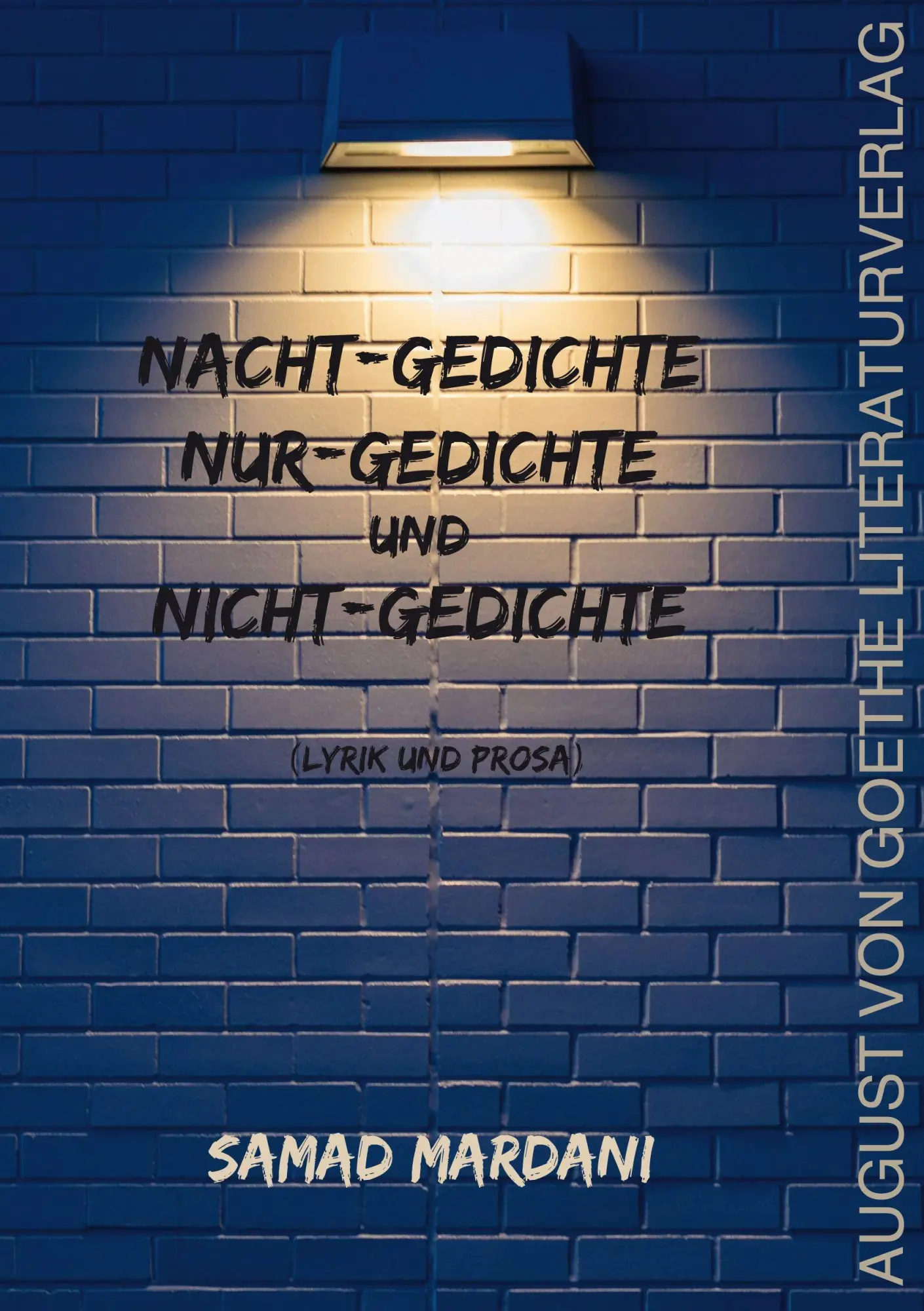 Cover: 9783837229219 | Nacht-Gedichte, Nur-Gedichte und Nicht-Gedichte | Lyrik und Prosa