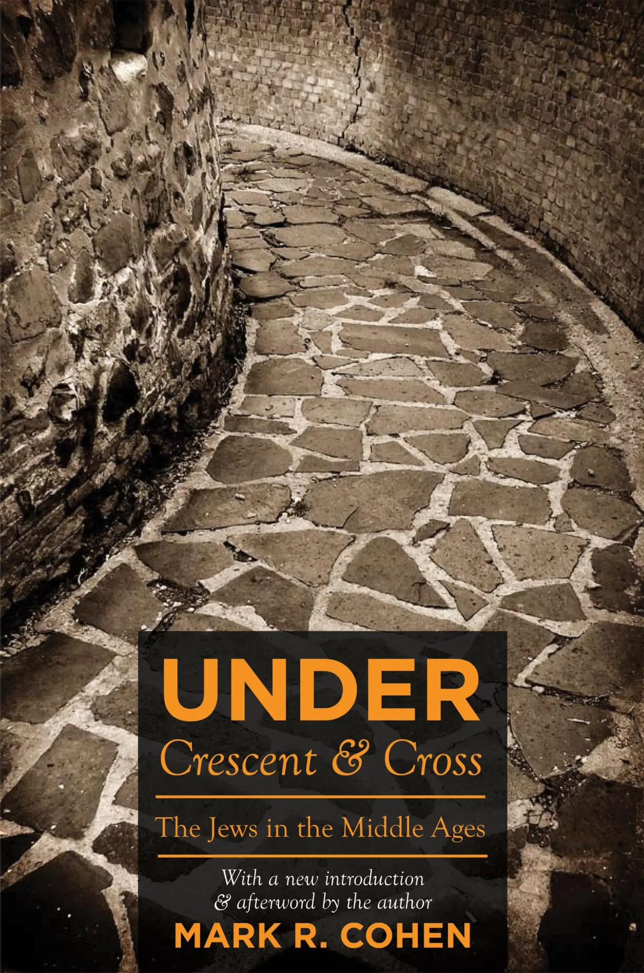 Cover: 9780691139319 | Under Crescent and Cross | The Jews in the Middle Ages | Mark R Cohen