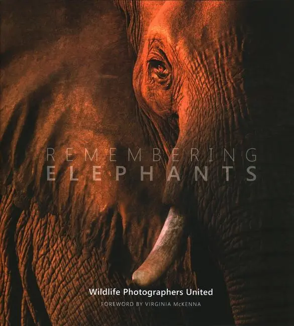 Cover: 9780993019319 | REMEMBERING ELEPHANTS | Margot Raggett | Buch | Gebunden | Englisch