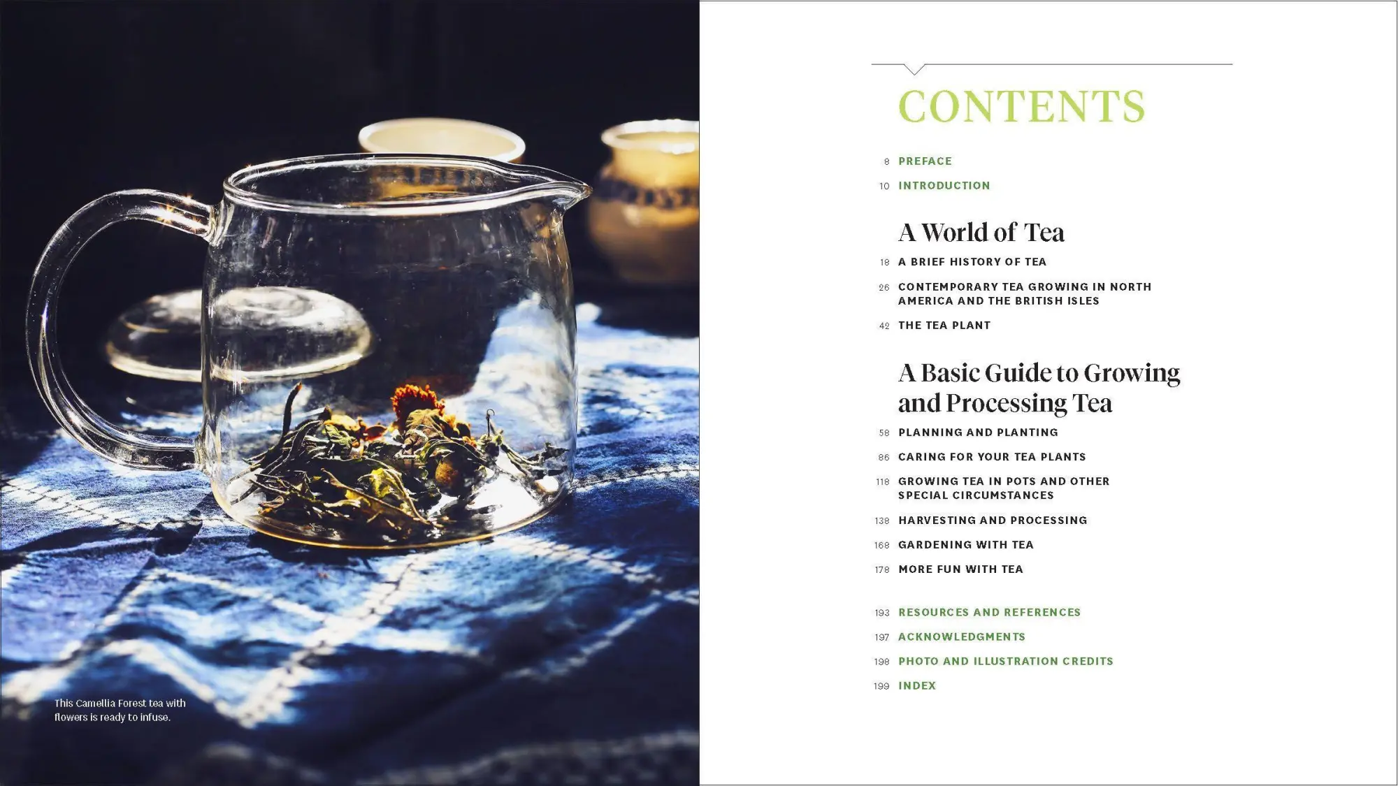 Bild: 9781604699319 | Grow Your Own Tea | Christine Parks (u. a.) | Taschenbuch | Englisch