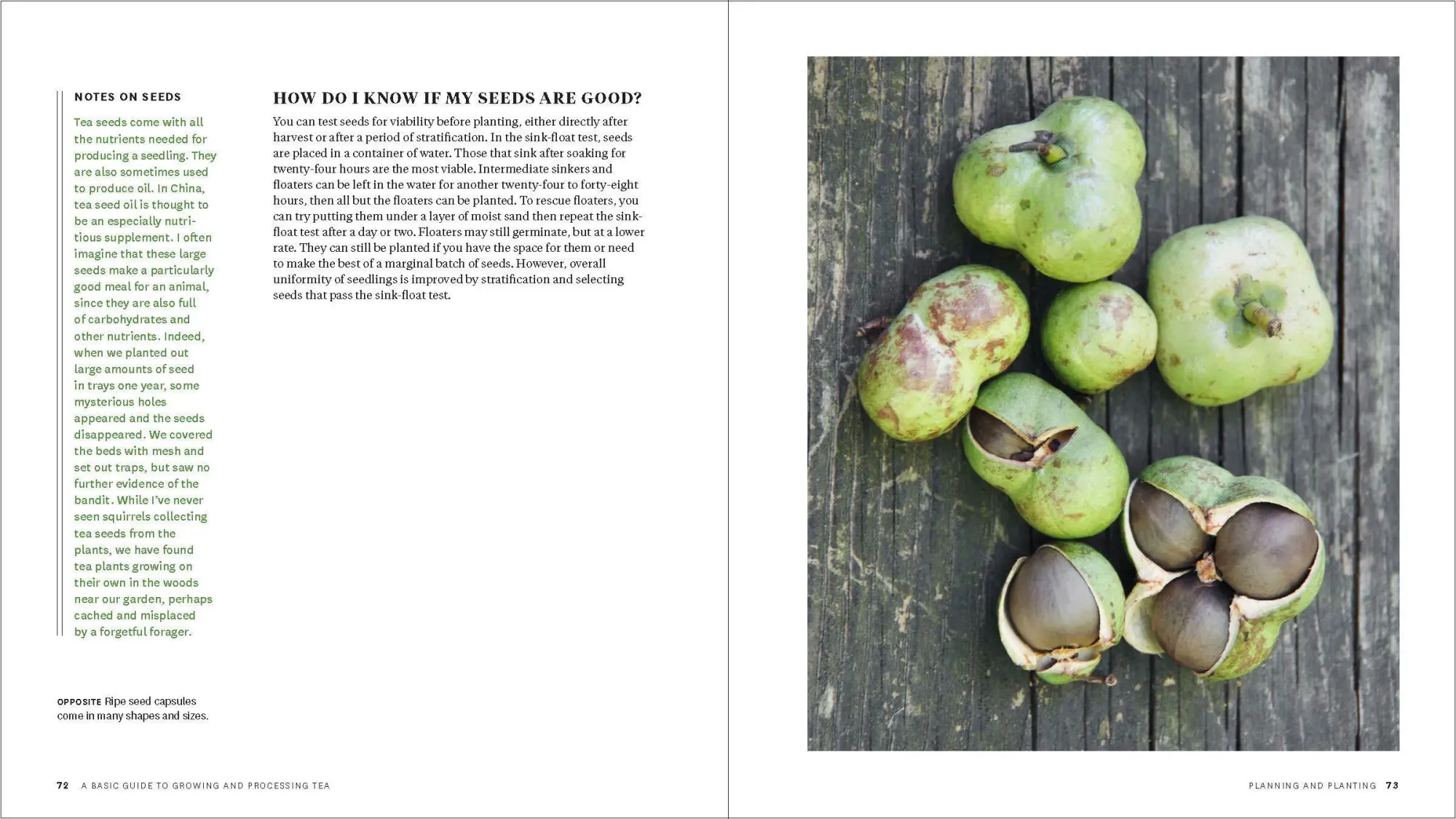 Bild: 9781604699319 | Grow Your Own Tea | Christine Parks (u. a.) | Taschenbuch | Englisch
