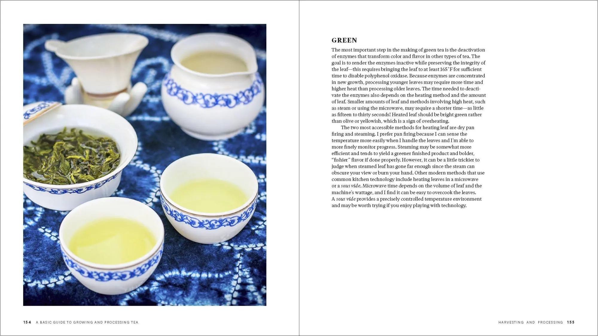 Bild: 9781604699319 | Grow Your Own Tea | Christine Parks (u. a.) | Taschenbuch | Englisch