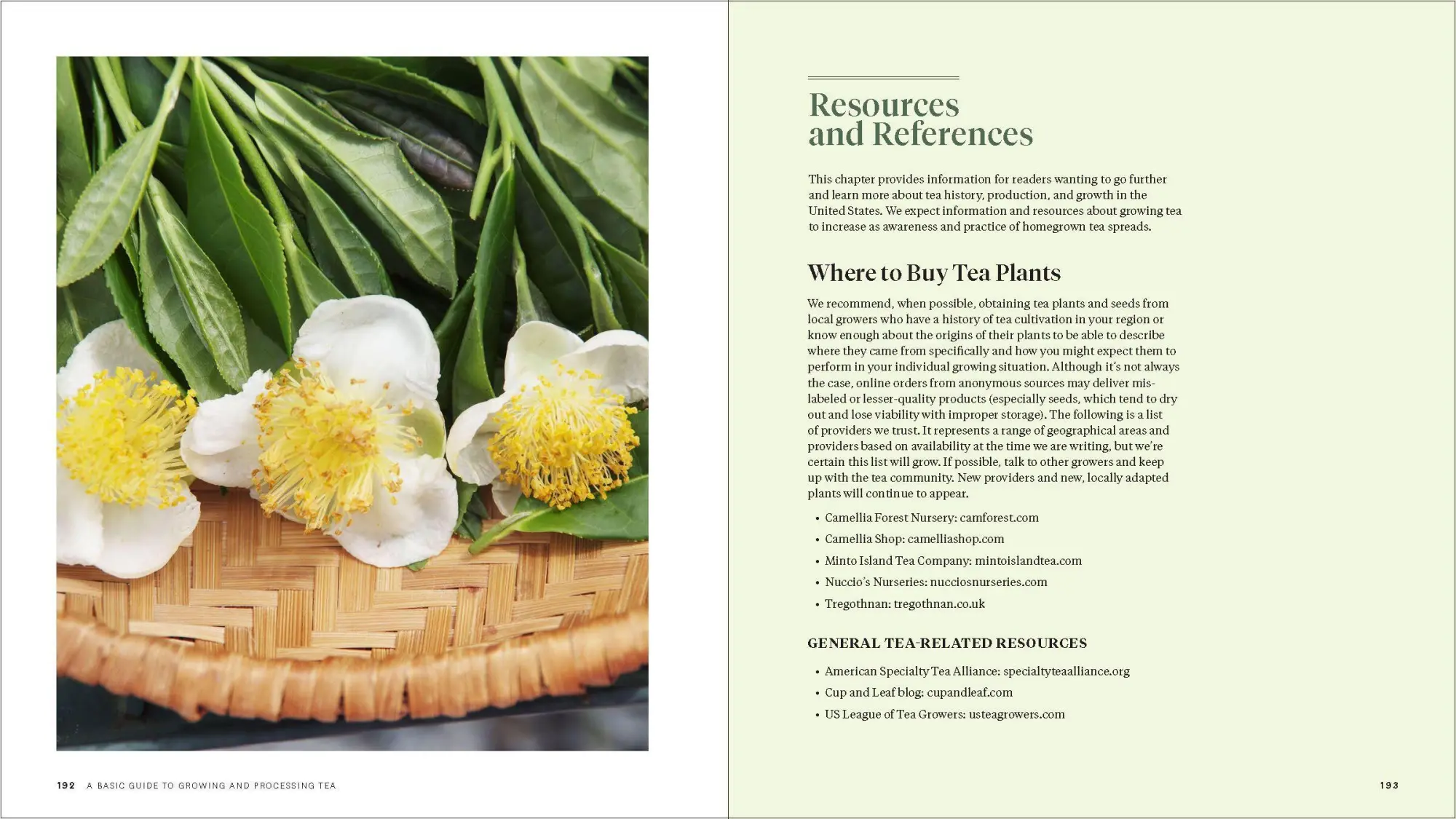 Bild: 9781604699319 | Grow Your Own Tea | Christine Parks (u. a.) | Taschenbuch | Englisch
