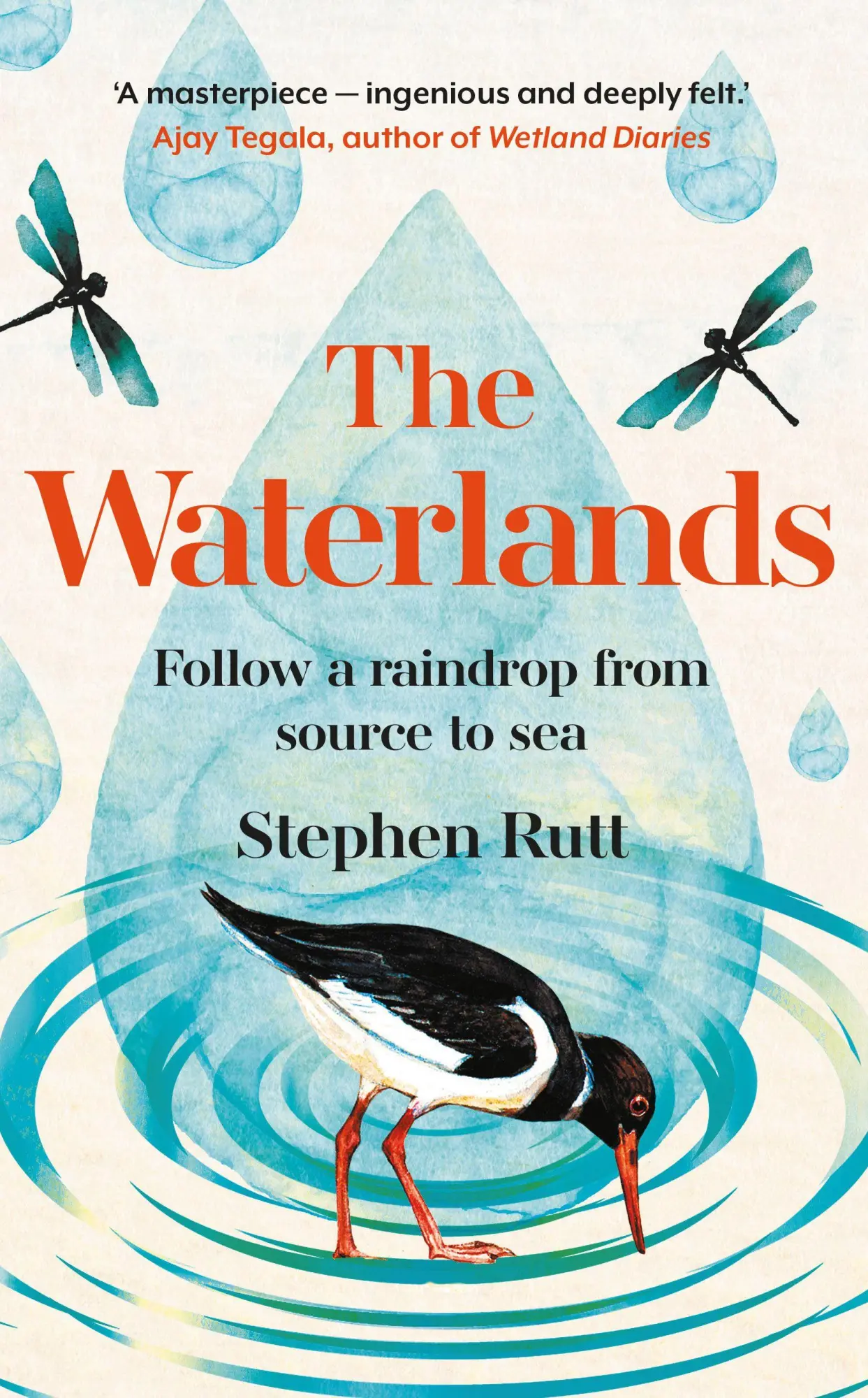 Cover: 9781783969319 | The Waterlands | Follow a Raindrop from Source to Sea | Stephen Rutt