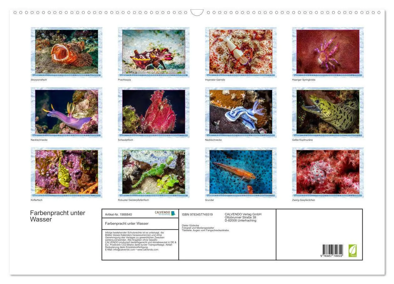 Bild: 9783457749319 | Farbenpracht unter Wasser (Wandkalender 2026 DIN A2 quer), CALVENDO...