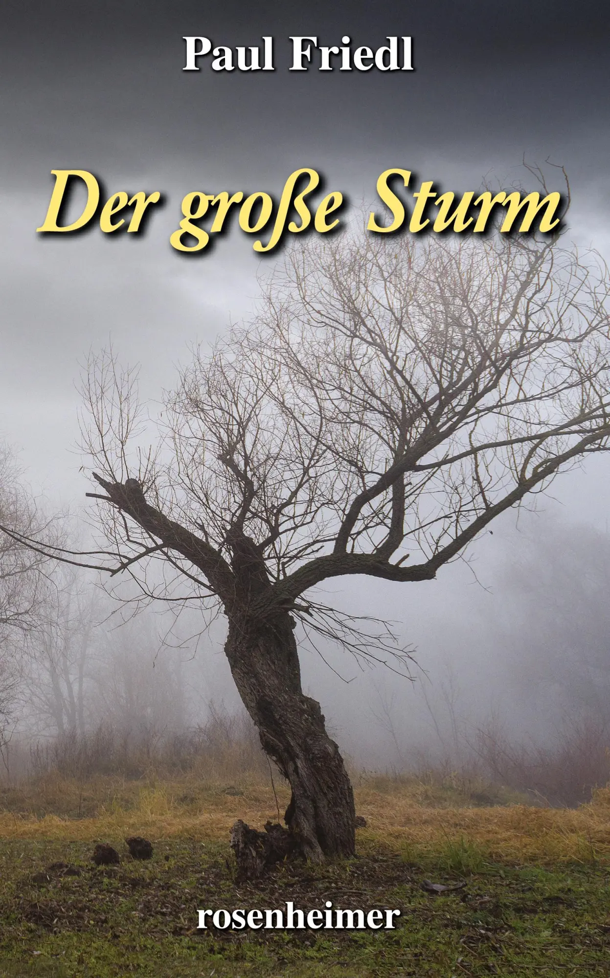 Cover: 9783475549519 | Der große Sturm | Paul Friedl | Buch | 240 S. | Deutsch | 2023