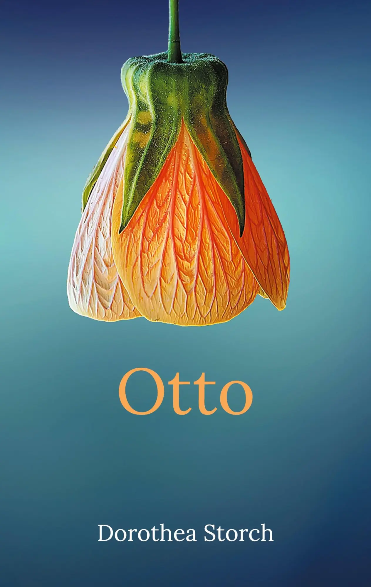 Cover: 9783758309519 | Otto | Dorothea Storch | Taschenbuch | 236 S. | Deutsch | 2024