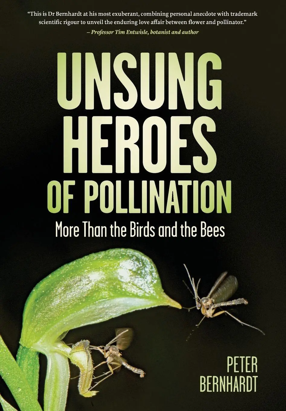 Cover: 9781486319619 | Unsung Heroes of Pollination | Peter Bernhardt | Taschenbuch | 2026