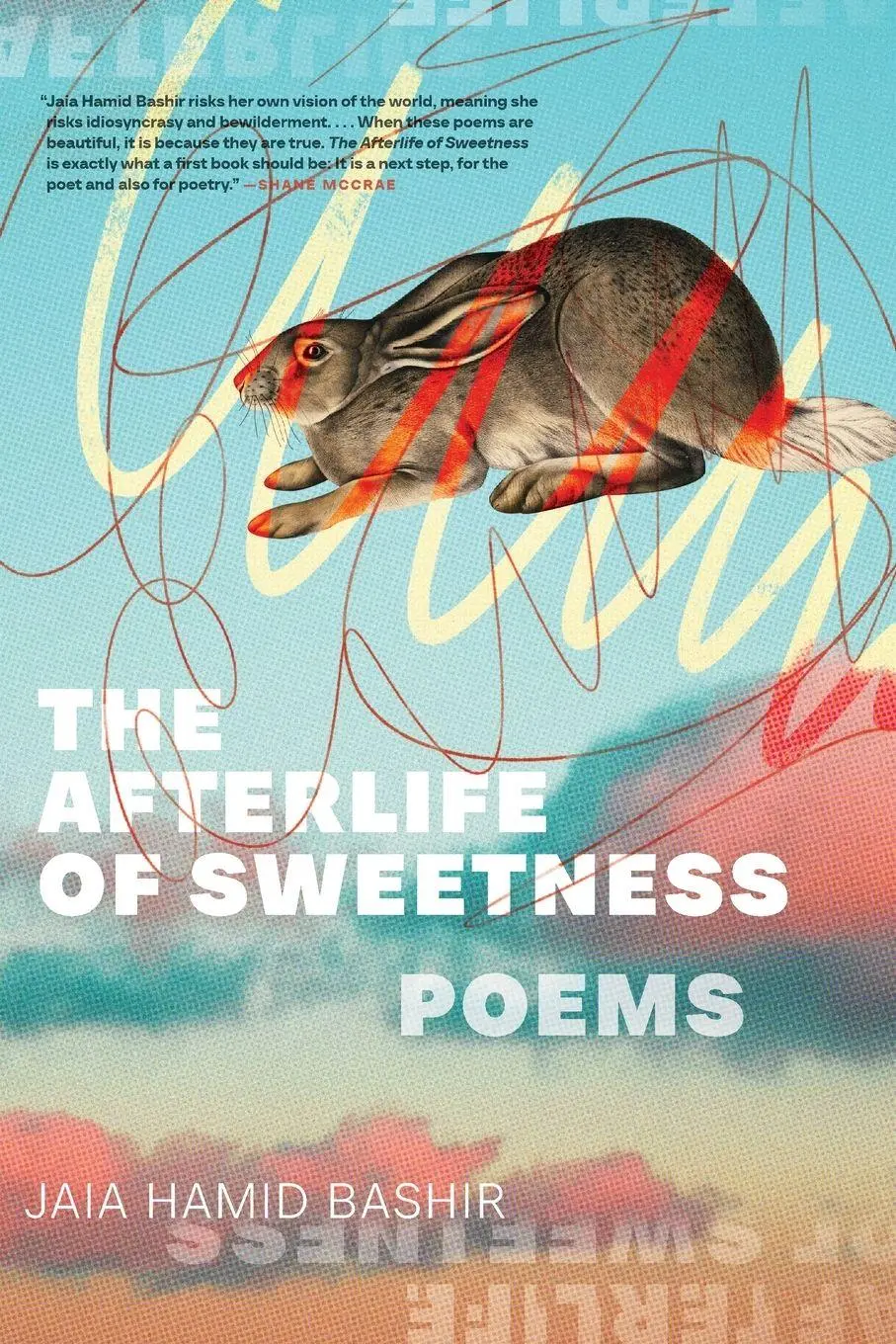 Cover: 9780814259719 | The Afterlife of Sweetness | Poems | Jaia Hamid Bashir | Taschenbuch