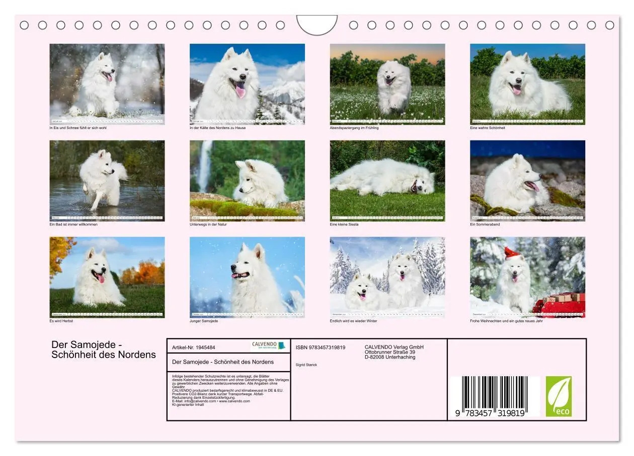 Bild: 9783457319819 | Der Samojede - Schönheit des Nordens (Wandkalender 2026 DIN A4...