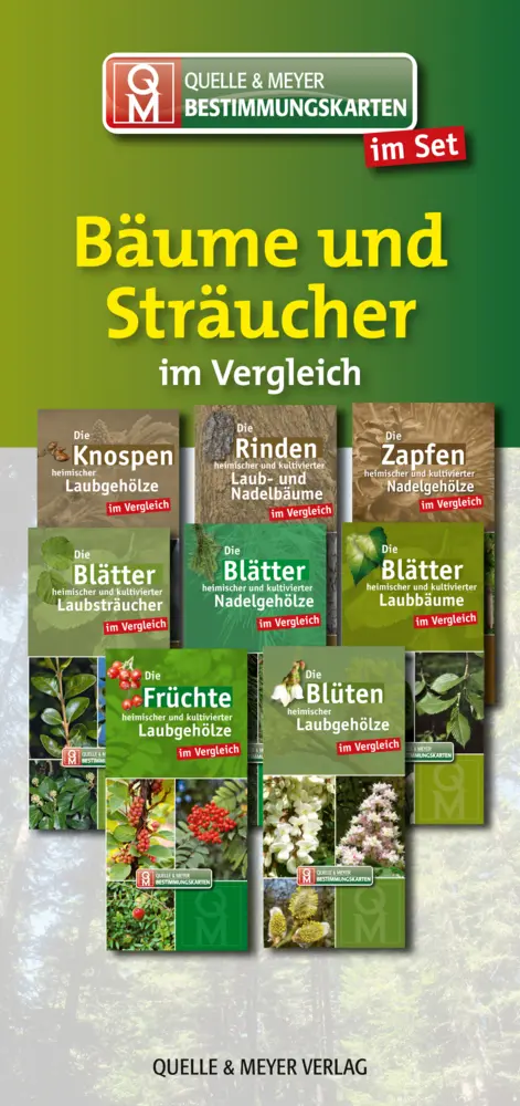 Cover: 9783494019819 | Bestimmungskarten-Set "Bäume und Sträucher" | Quelle &amp; Meyer Verlag