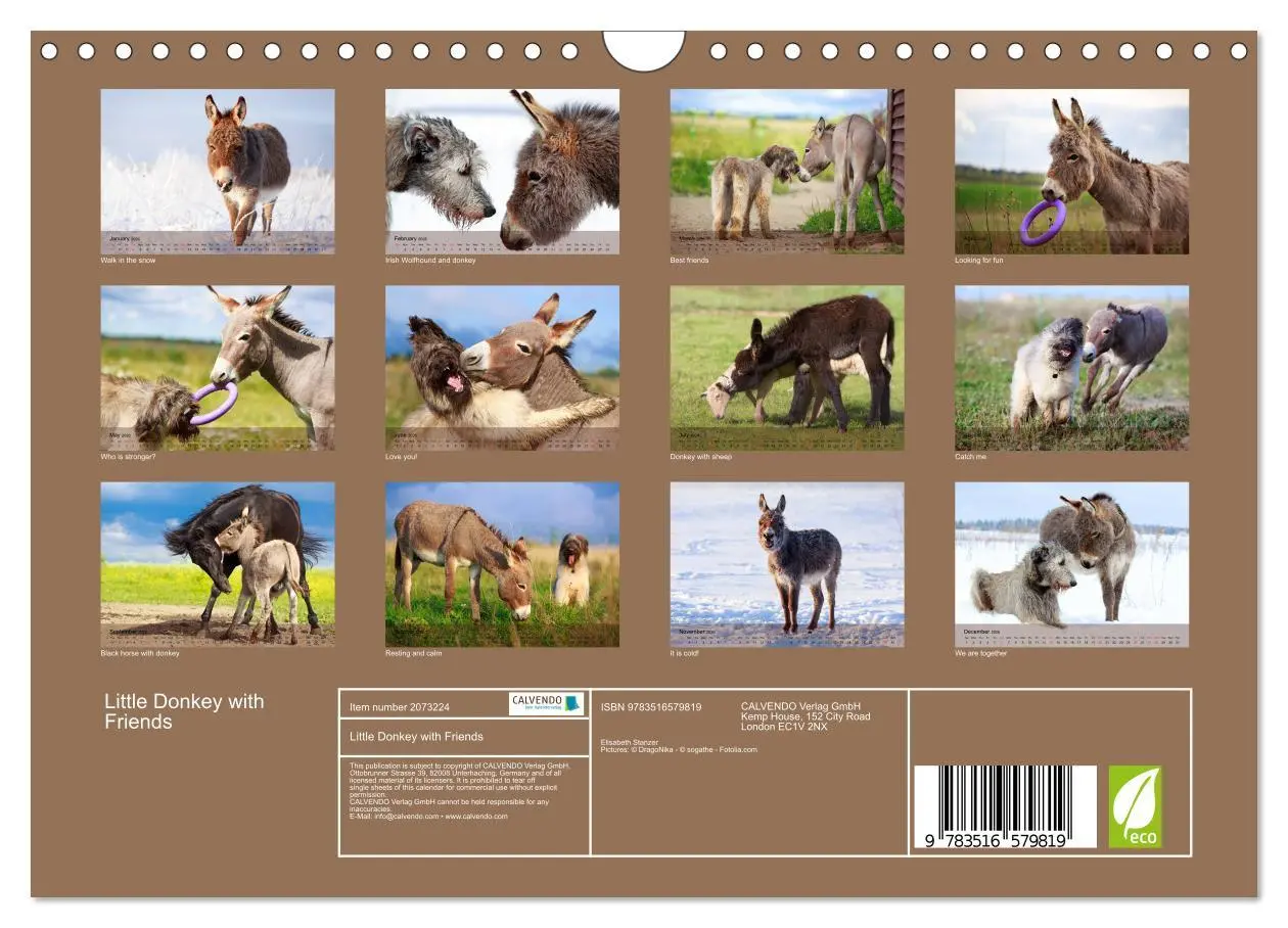 Bild: 9783516579819 | Little Donkey with Friends (Wall Calendar 2026 DIN A4 landscape),...