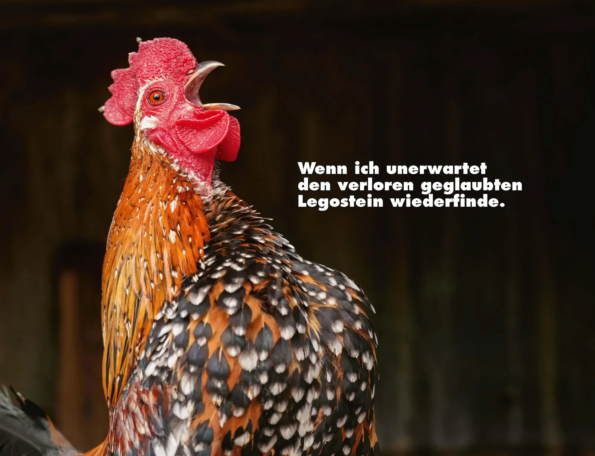Bild: 9783966649919 | Kalender Hühner Memes 2026 Eintragkalender | Tierischer Hühner-Spaß