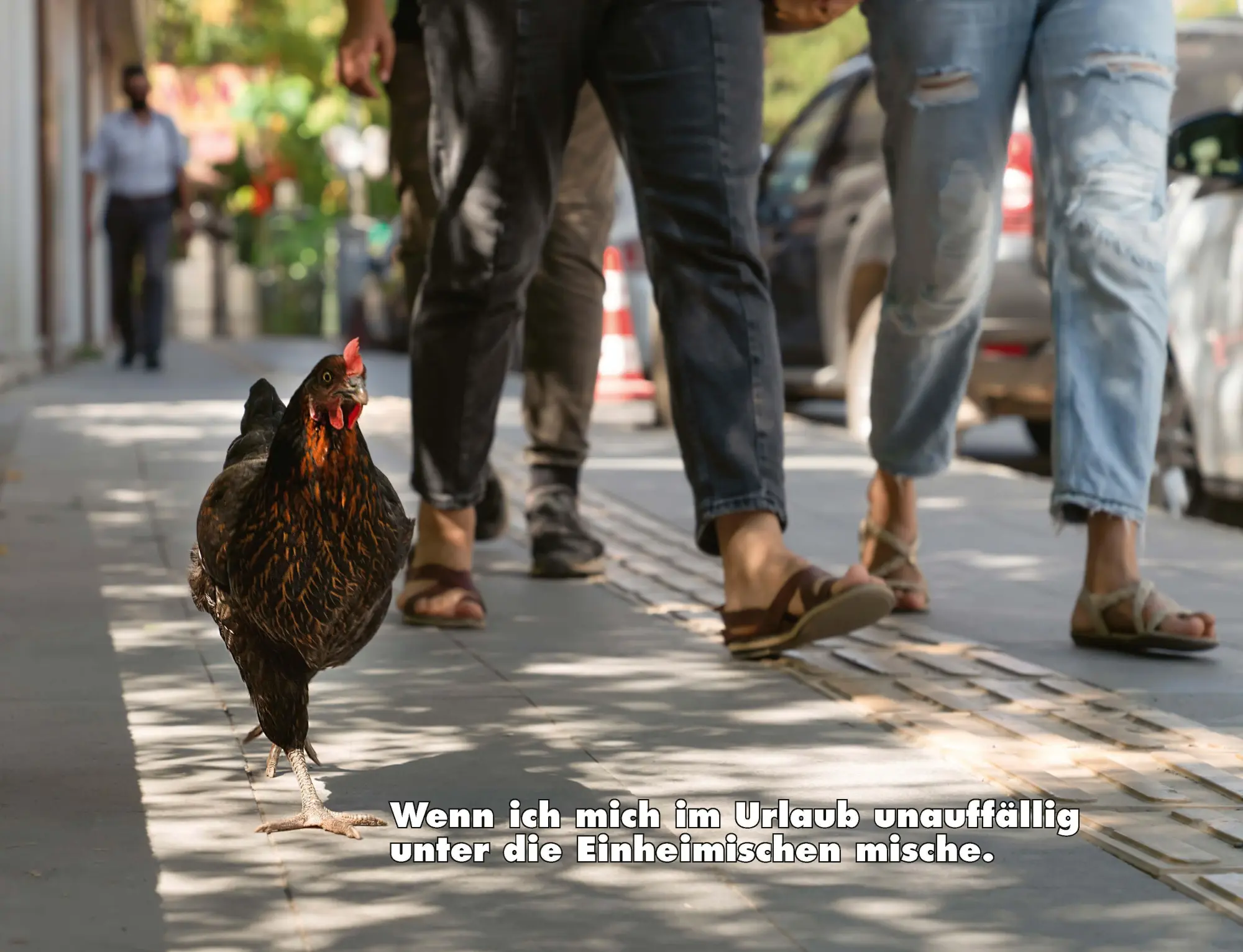 Bild: 9783966649919 | Kalender Hühner Memes 2026 Eintragkalender | Tierischer Hühner-Spaß