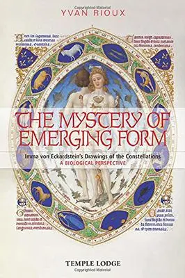 Cover: 9781912230020 | The Mystery of Emerging Form | Yvan Rioux | Taschenbuch | Englisch