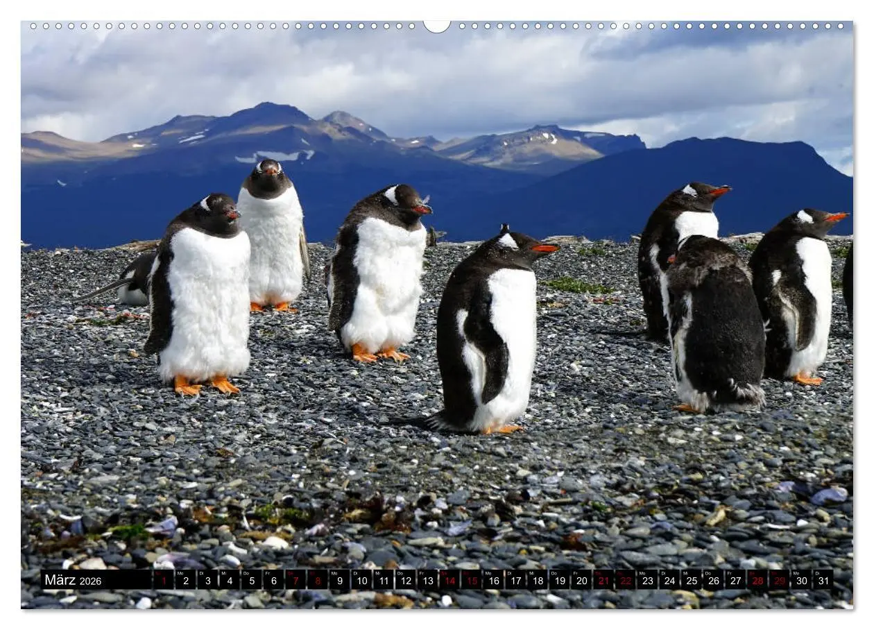Bild: 9783457870020 | Argentinien - Von Iguazu bis Feuerland (Wandkalender 2026 DIN A2...