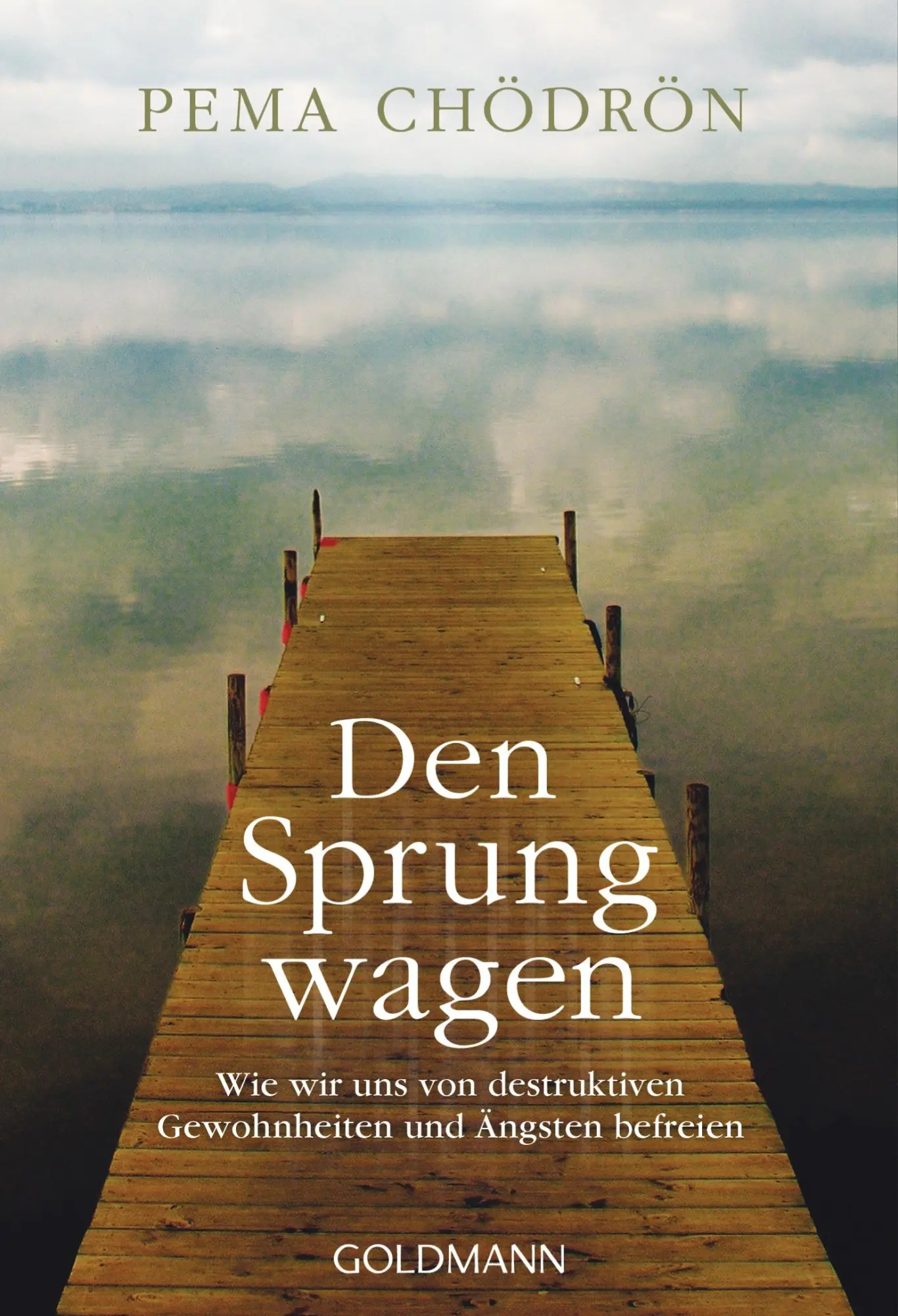 Cover: 9783442220120 | Den Sprung wagen | Pema Chödrön | Taschenbuch | 119 S. | Deutsch