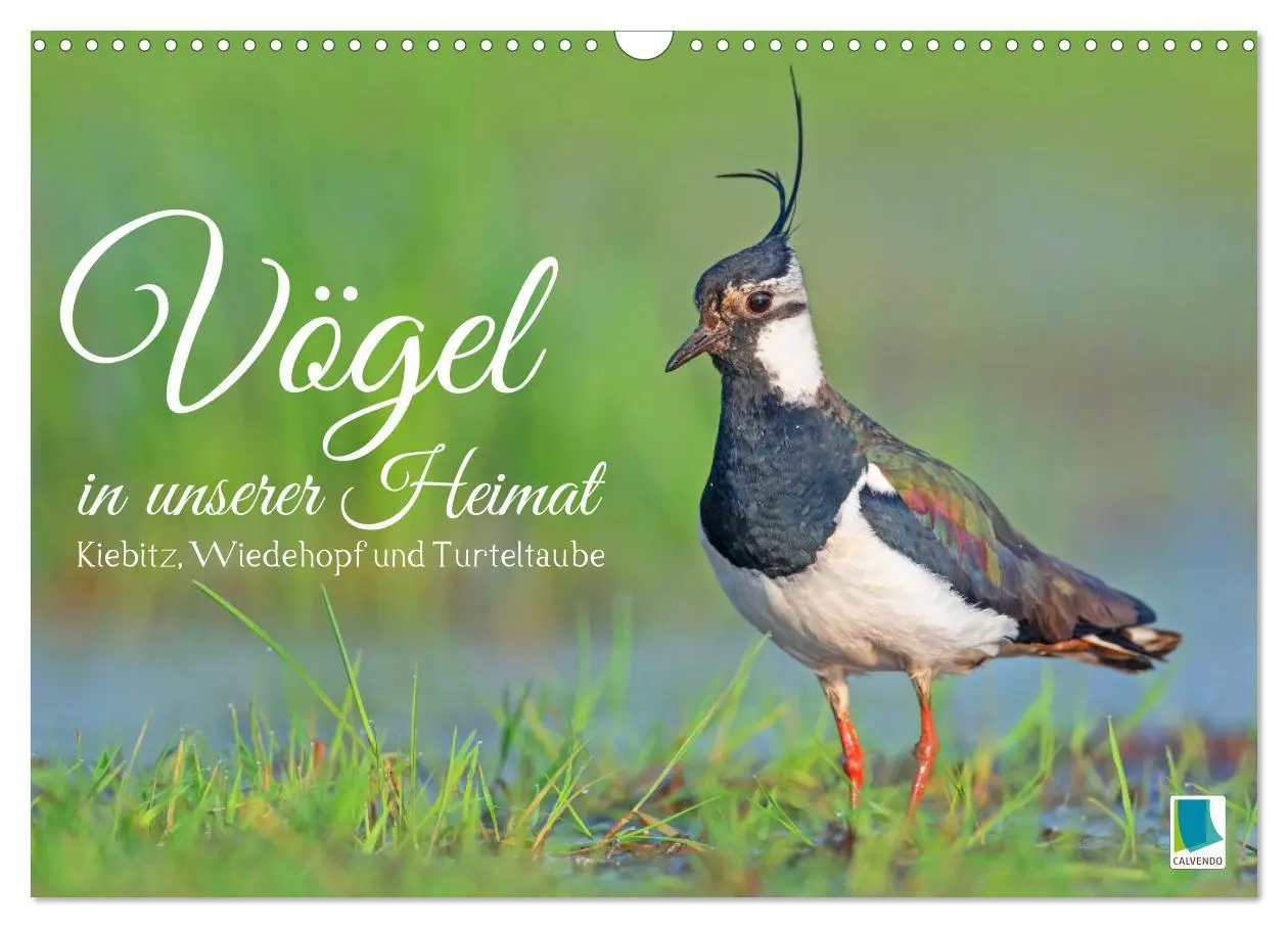 Cover: 9783457480120 | Vögel in unserer Heimat: Kiebitz, Wiedehopf und Turteltaube...