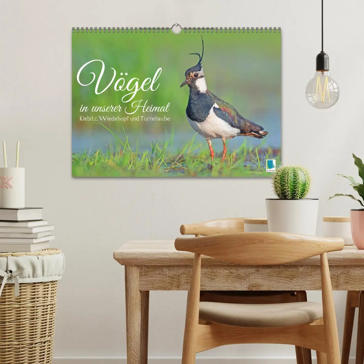 Bild: 9783457480120 | Vögel in unserer Heimat: Kiebitz, Wiedehopf und Turteltaube...