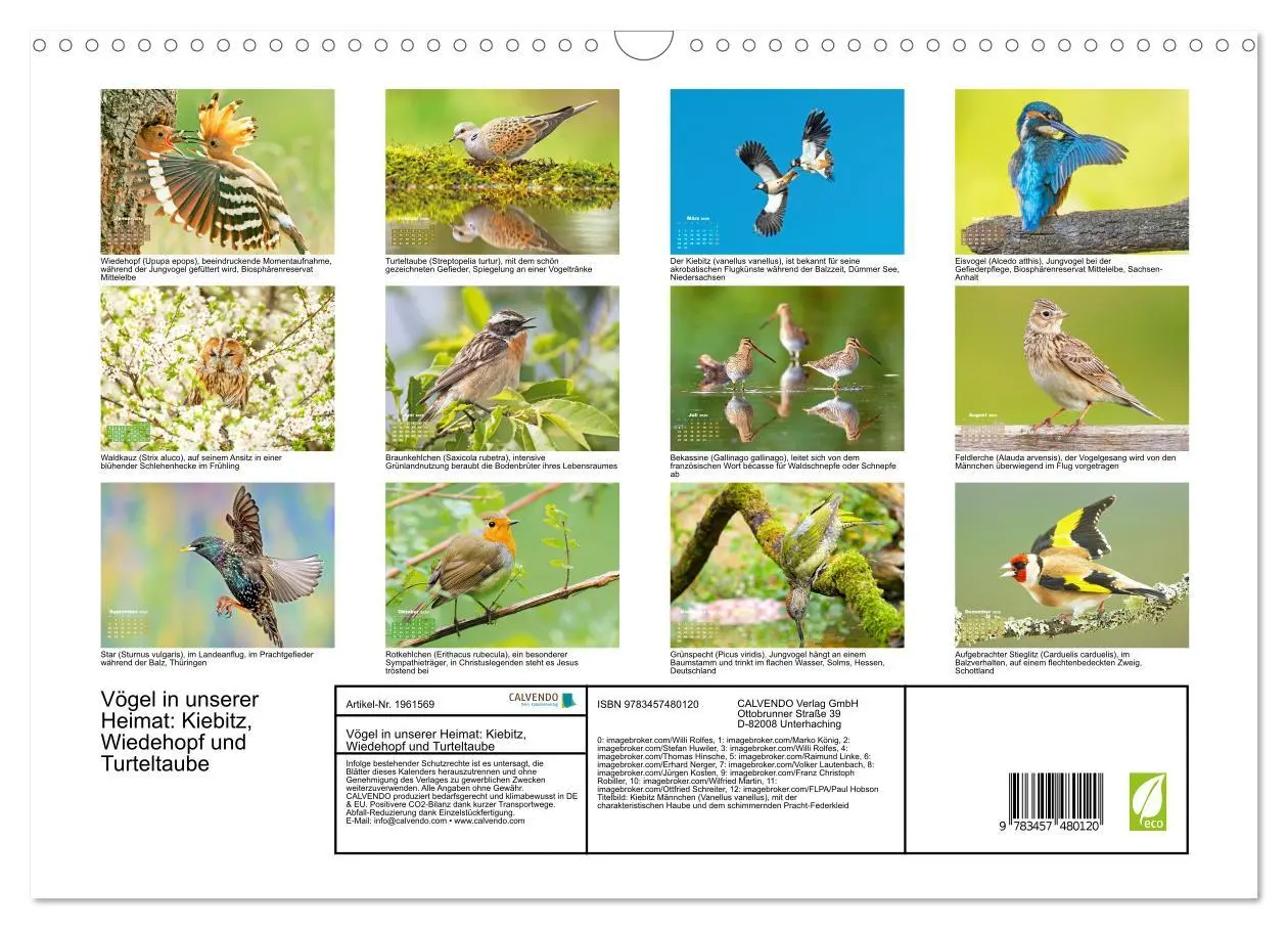 Bild: 9783457480120 | Vögel in unserer Heimat: Kiebitz, Wiedehopf und Turteltaube...