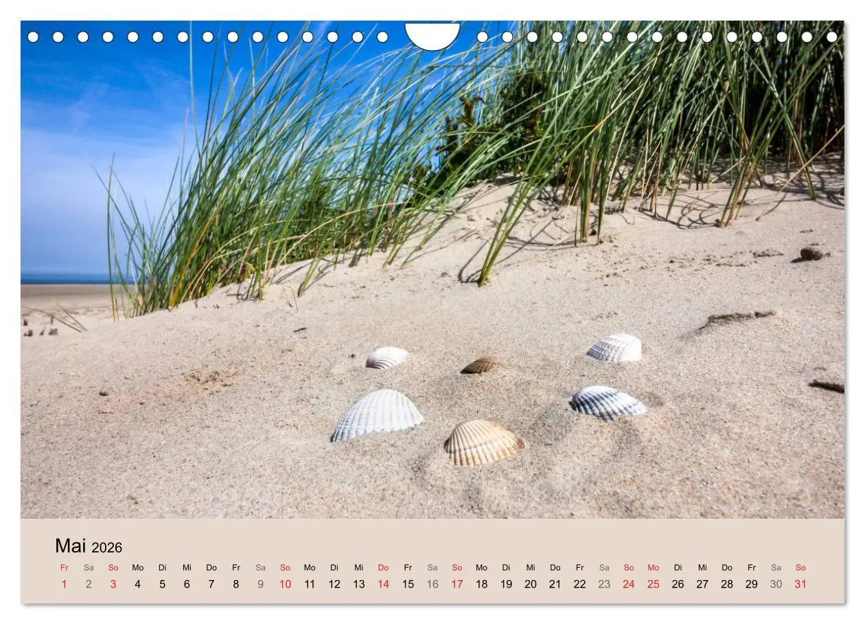 Bild: 9783457920220 | Nordseeinsel Borkum - Inselrausch im Hochseeklima (Wandkalender...