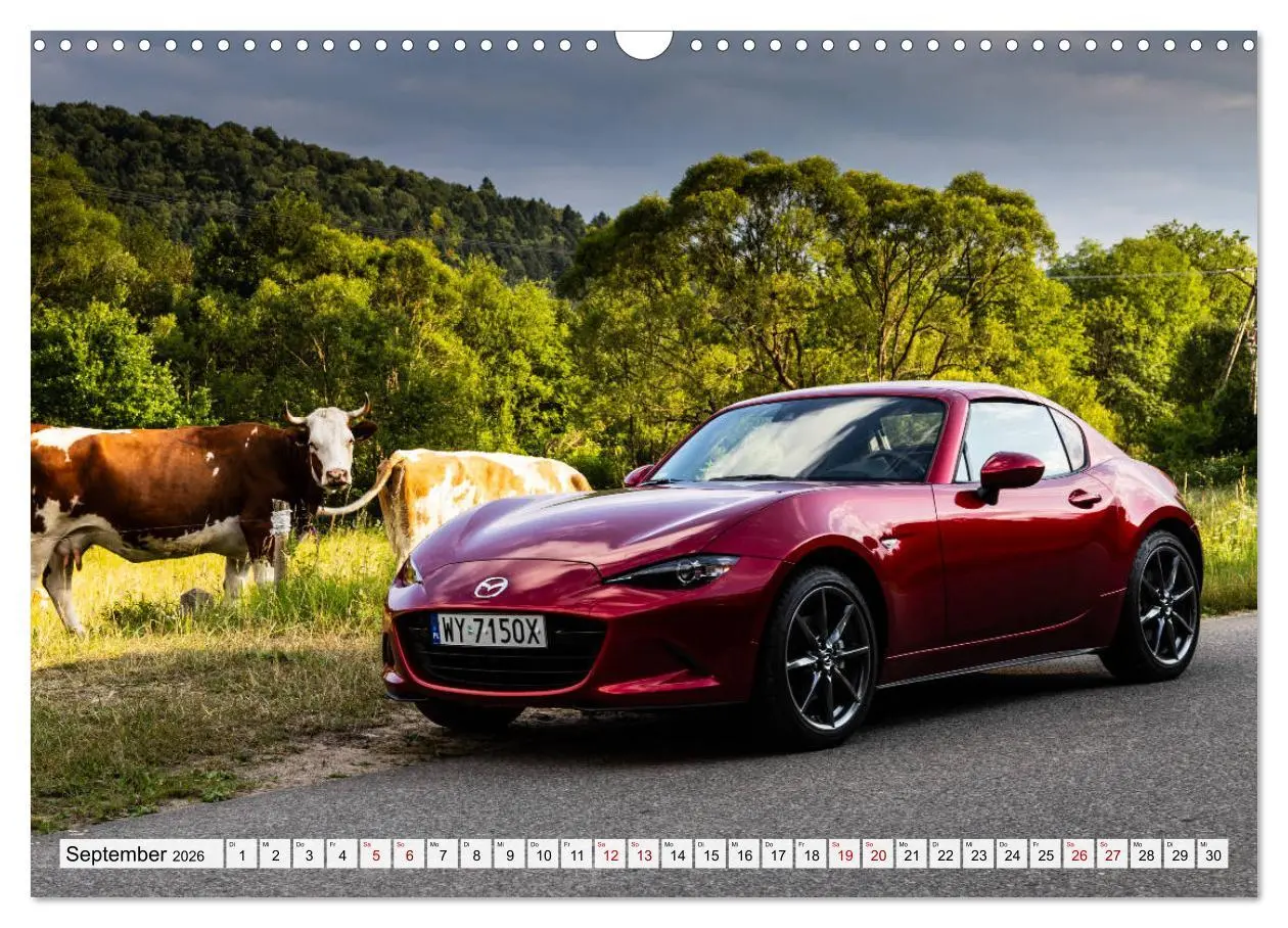 Bild: 9783457770320 | Ich liebe Miata (Wandkalender 2026 DIN A3 quer), CALVENDO...