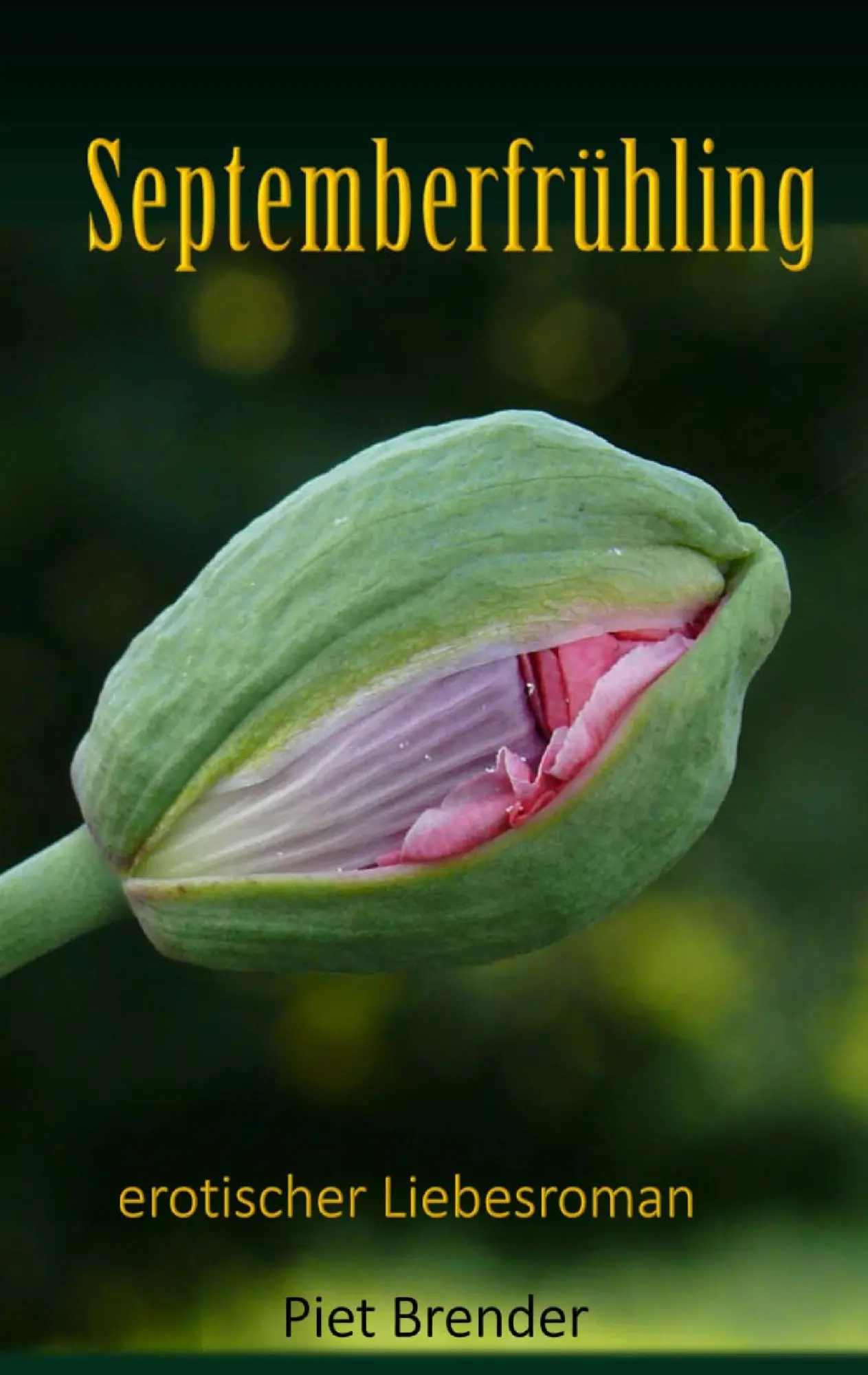 Cover: 9783743190320 | Septemberfrühling | Piet Brender | Taschenbuch | 476 S. | Deutsch