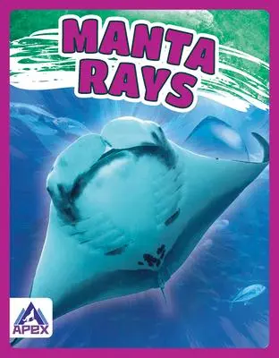 Cover: 9781637380420 | Manta Rays | Angela Lim | Taschenbuch | Kartoniert / Broschiert | 2021
