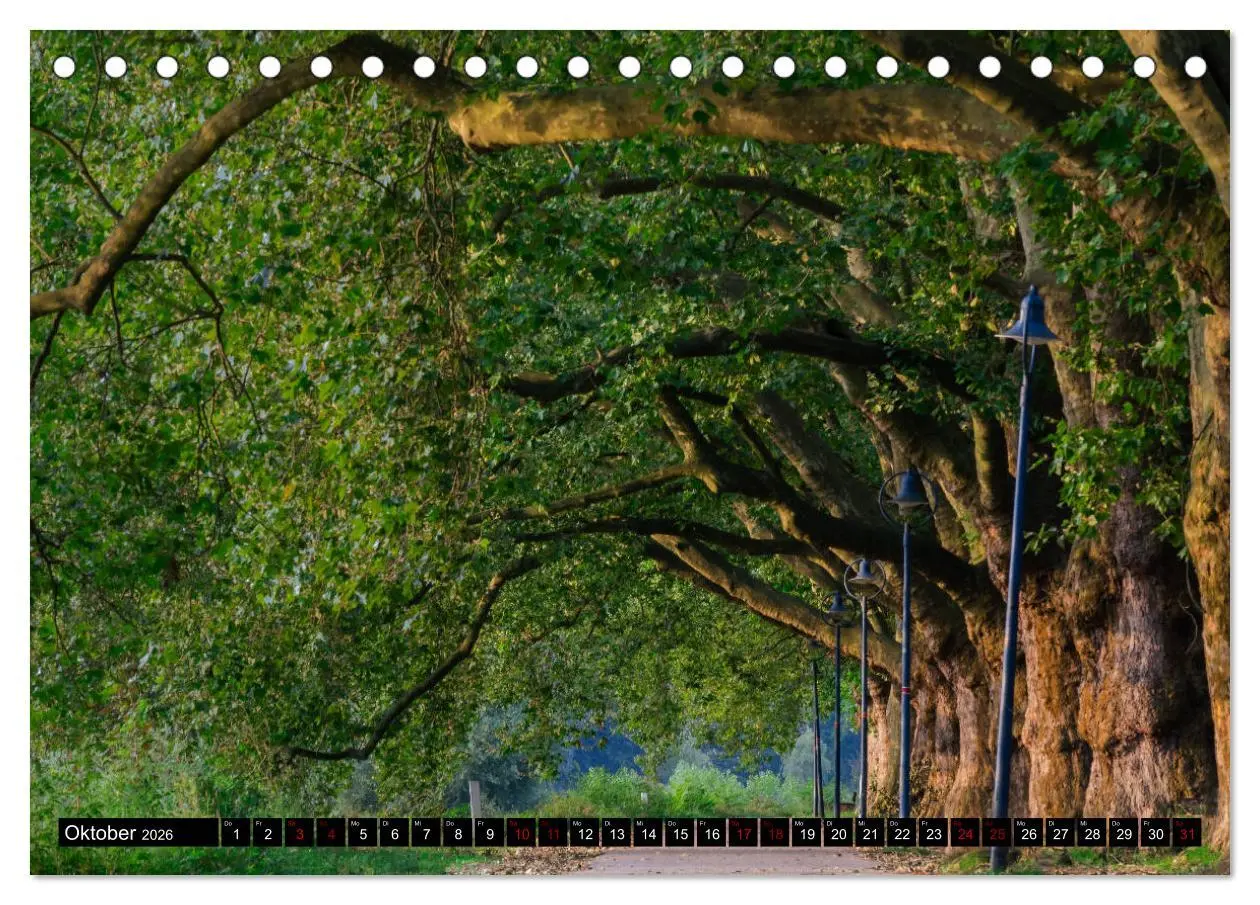 Bild: 9783457900420 | Ludwigshafen - Lebenswerte Stadt am Rhein (Tischkalender 2026 DIN...
