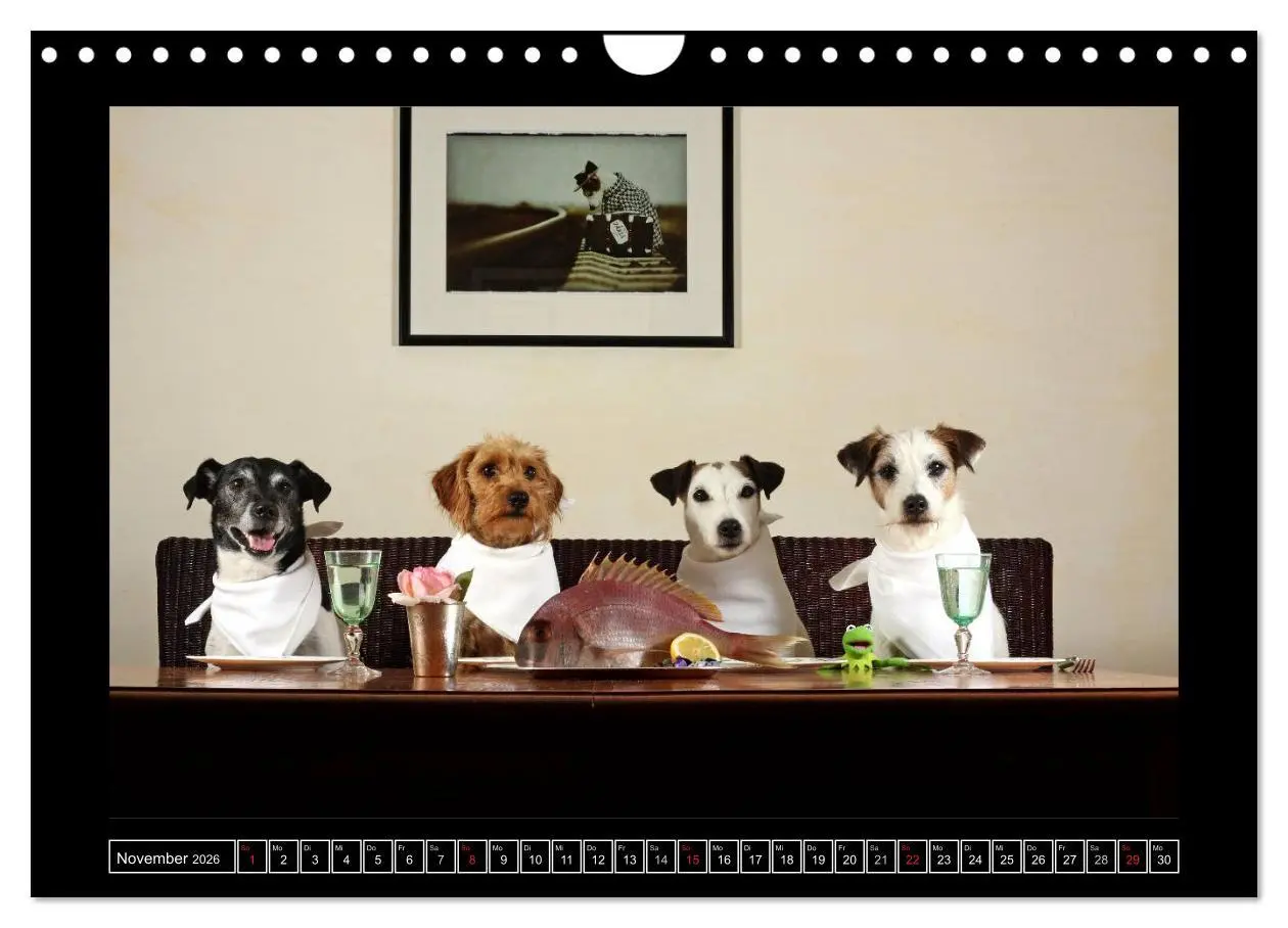 Bild: 9783516160420 | Parson Russell Terrier (Wandkalender 2026 DIN A4 quer), CALVENDO...