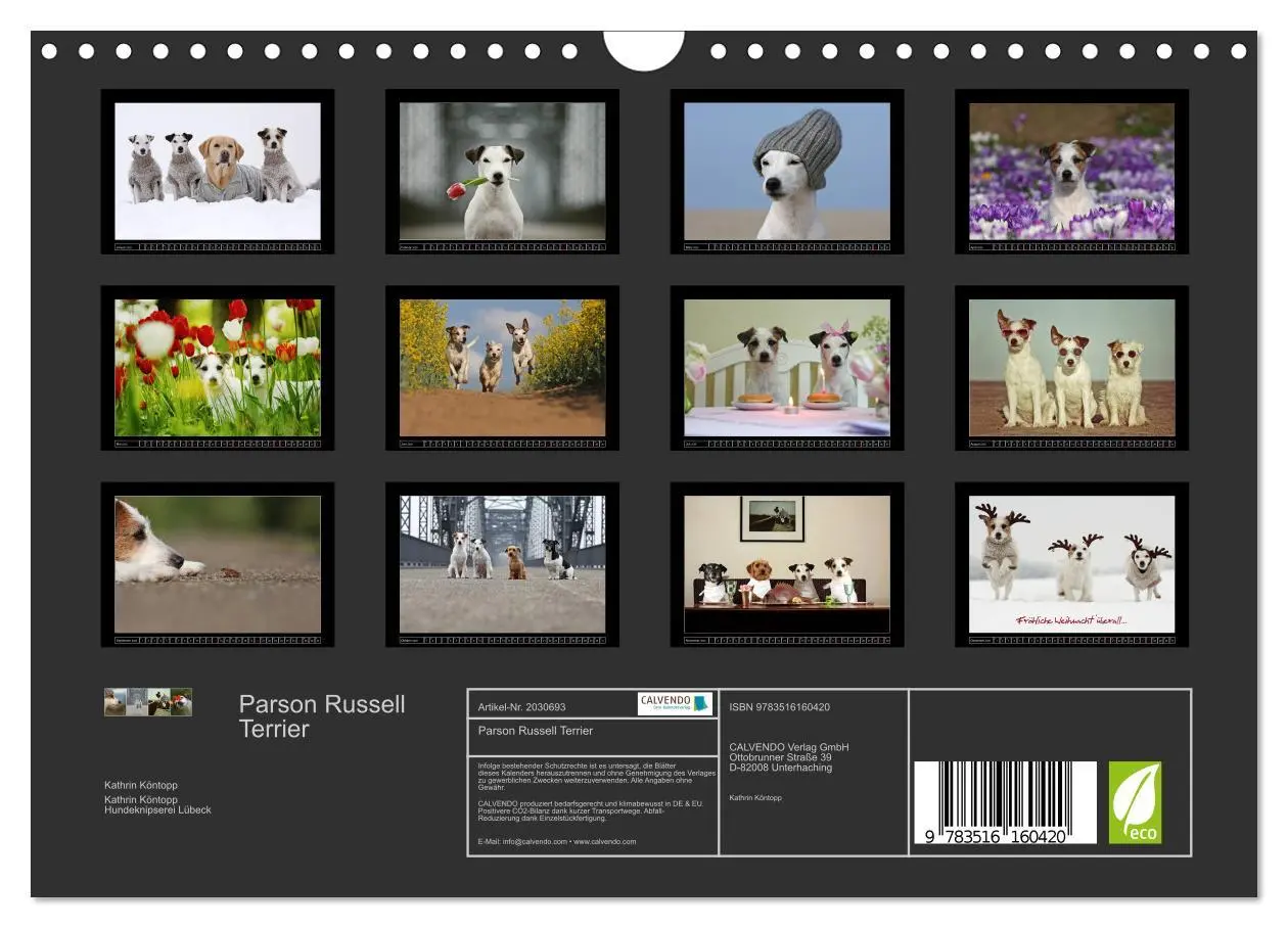 Bild: 9783516160420 | Parson Russell Terrier (Wandkalender 2026 DIN A4 quer), CALVENDO...