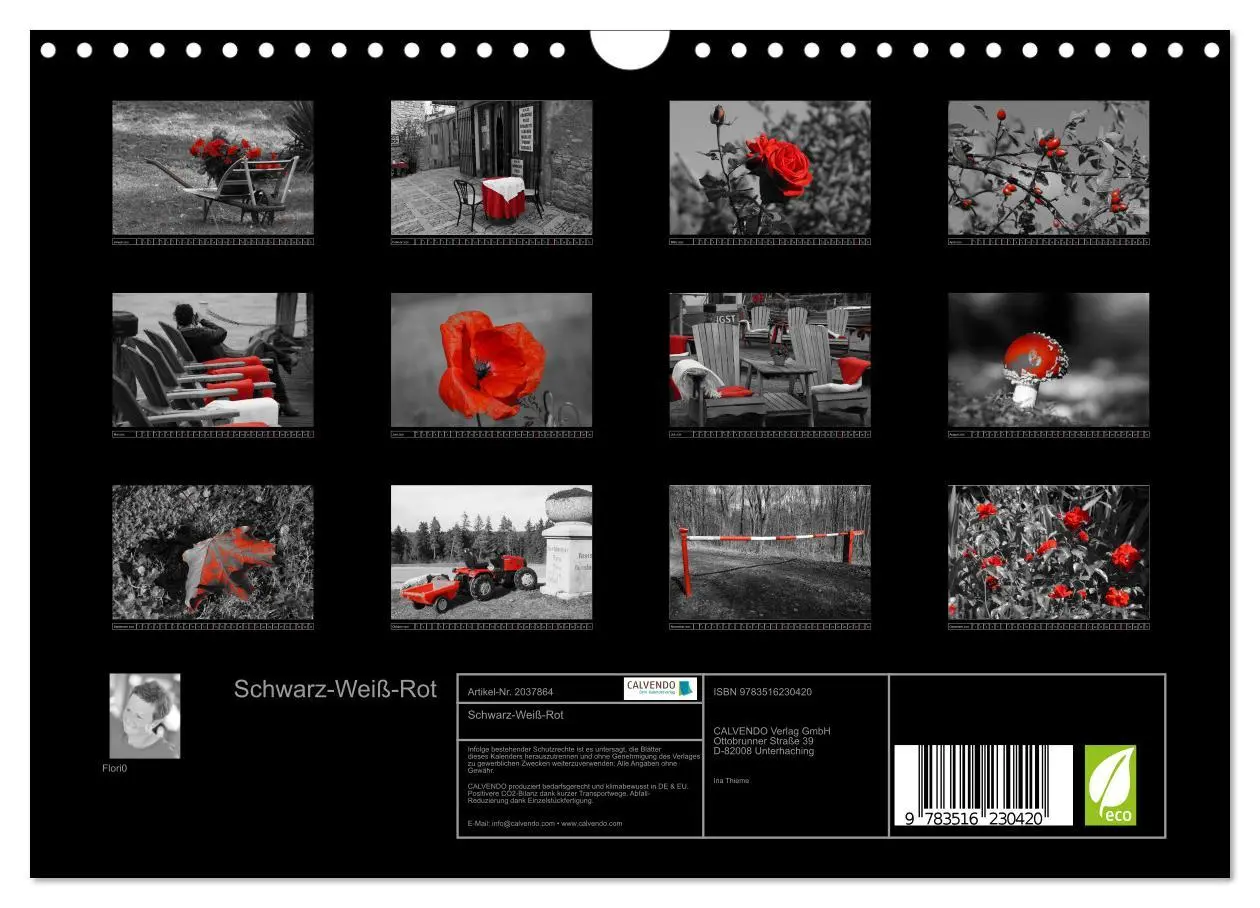 Bild: 9783516230420 | Schwarz-Weiß-Rot (Wandkalender 2026 DIN A4 quer), CALVENDO...