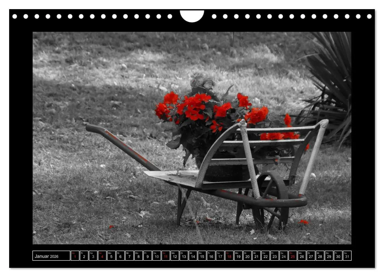 Bild: 9783516230420 | Schwarz-Weiß-Rot (Wandkalender 2026 DIN A4 quer), CALVENDO...